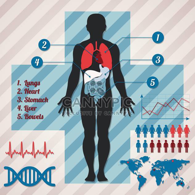medical infographics vector illustration - vector #132997 gratis