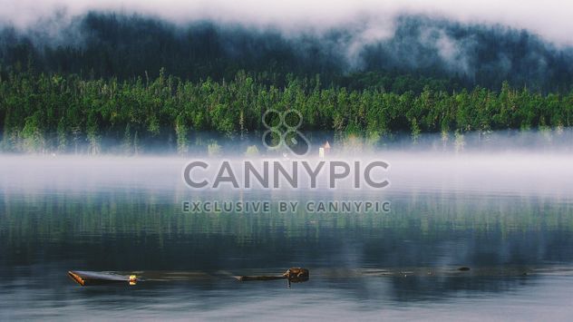 Fog on the lake in forest - бесплатный image #136227