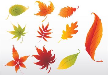 Swirling Leaves Graphics - Free vector #145967