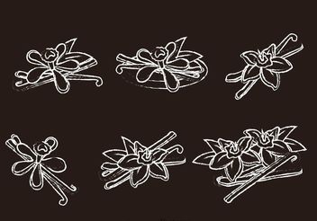 Chalk Drawn Vanilla Flower Vectors - Kostenloses vector #146197