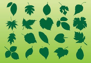 Plant Leaves Vectors - Kostenloses vector #146227