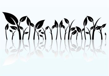 Reflected Plant Graphics - Free vector #146297