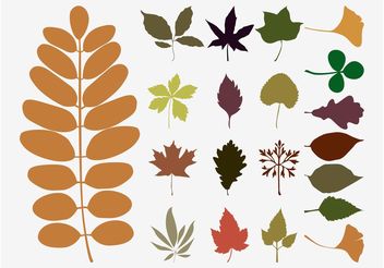 Fall Leaves Vectors - Free vector #146417