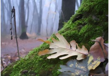 Autumn Forest Mosses - vector gratuit #152827 