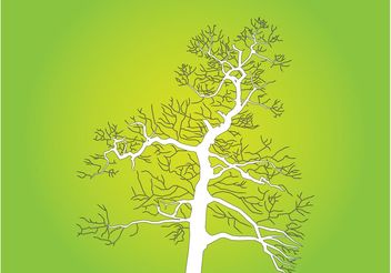 Tree Outlines - Free vector #152947