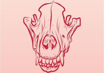 Dead Animal Skull - vector gratuit #156877 