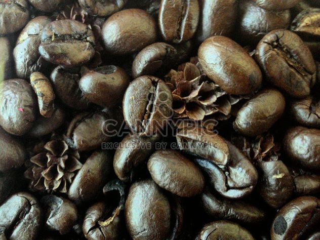 Coffee beans - image gratuit #183687 