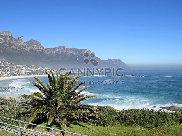 The solar ocean coast with palm trees - image #183867 gratis