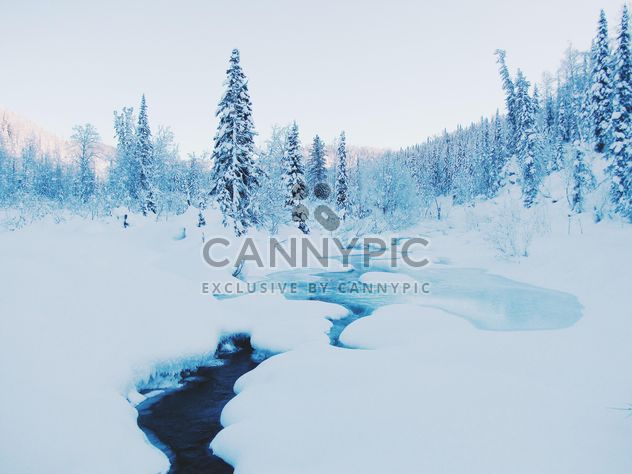 Winter landscape with creek in mountains - Free image #184017
