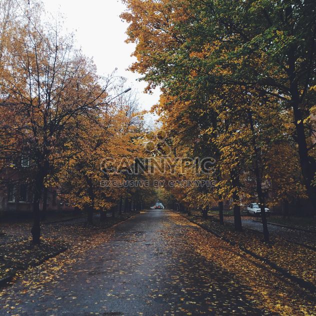 Autumn in the city - image #185647 gratis
