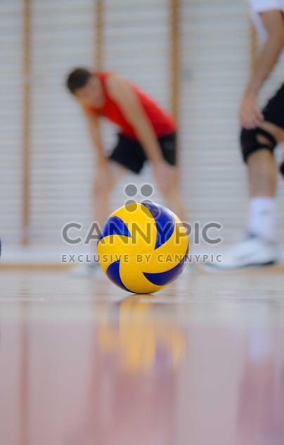 volleyball ball - image gratuit #185797 