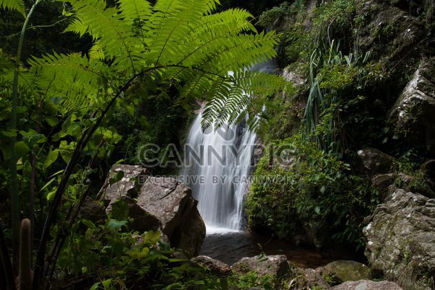 Waterfall#dadfa#nasan#suratthani#mountain#biological#people#travel#nature - image gratuit #186307 