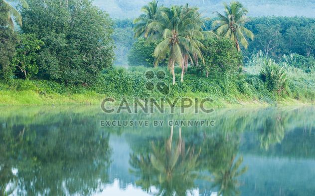 green trees reflected in water in the morning mist - image #186417 gratis