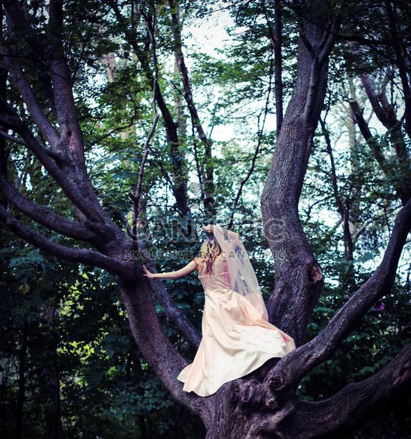 Girl in beautiful dress on the tree - image #187167 gratis