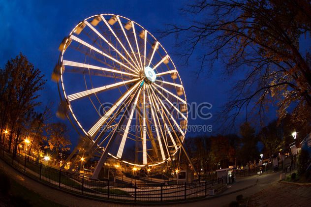 Ferriswheel in evening park - Free image #198567