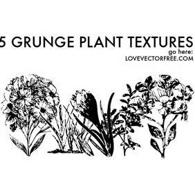 5 Grunge Plant Textures - vector gratuit #221007 