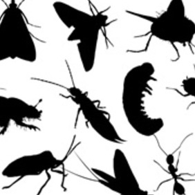 Bugs - vector #222977 gratis