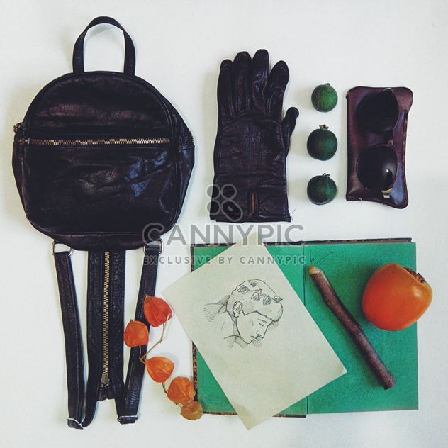 small backpack with gloves, sunglasses, book and fruits - image #272197 gratis