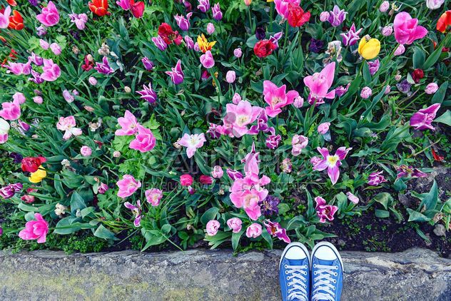 Feet in snickers near spring flowers - Free image #272347