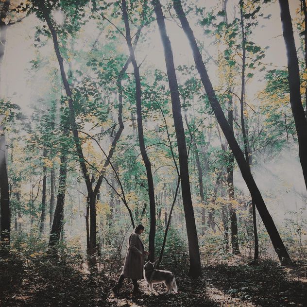 Mystic forest - бесплатный image #272977