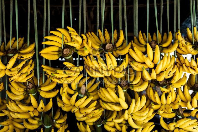 Bananas on street market - бесплатный image #275037