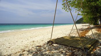 bamboo swing by the beach - Kostenloses image #275107