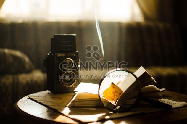 Autumn leaves through magnifying glass, book and old camera - бесплатный image #275317