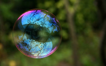 Reflection in a soap bubble - image #280367 gratis