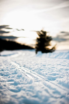 sledge-tracks in the snow - бесплатный image #284757