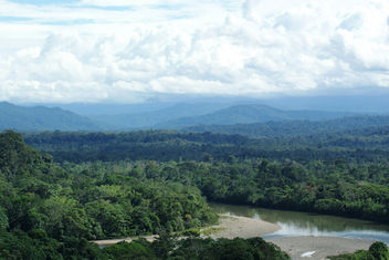 Ecuadorian Amazon rain forest, looking toward the Andes - Free image #286627
