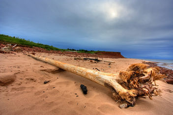 PEI Beach Scenery - HDR - Kostenloses image #286777