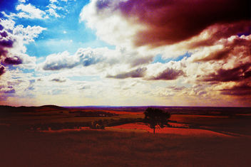 Dunstable Downs - Free image #286977