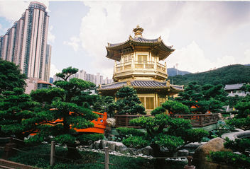 Nan Lian Garden, Hong Kong | Canon AE-1 Program - image gratuit #290467 