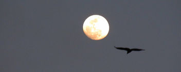 flying into the moon - image gratuit #291887 