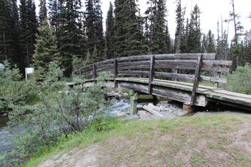 Trail head at boom lake Alberta Canada - Kostenloses image #292997