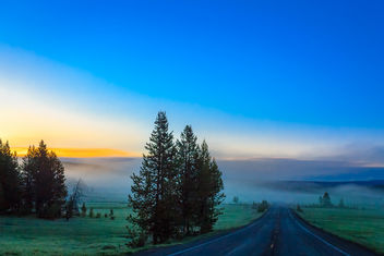 Morning Mist - image gratuit #294117 