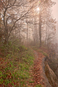 Misty North Point Trail - HDR - Free image #294927