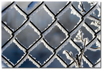(210/365) Behind Fences on a Very Cold Morning in New England - image gratuit #296417 