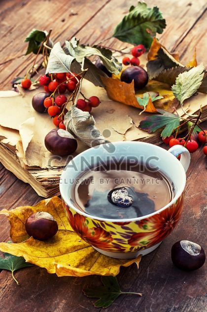 Cup of tea, autumn leaves, chestnuts and old book - image #302067 gratis