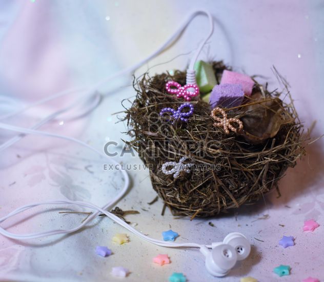 bird's nest decorated with music earphones - image gratuit #302407 
