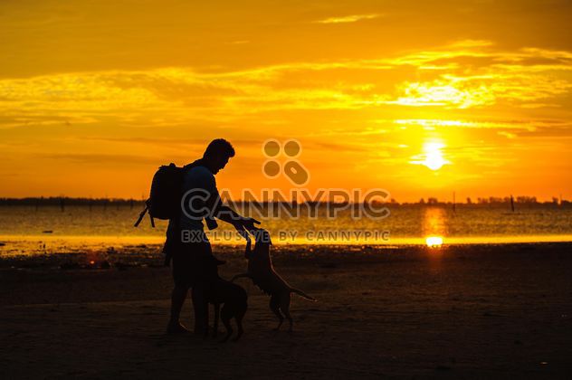 silhouette of man and dog at sunset - бесплатный image #303987