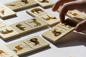 After the extinctions ... at least our kids will always have the dominoes - image gratuit #309207 
