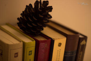 Books : love. The year is almost over! - бесплатный image #318267