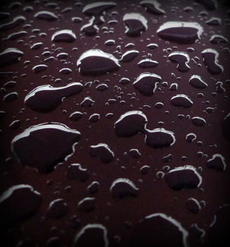 rain blobs - Free image #321377