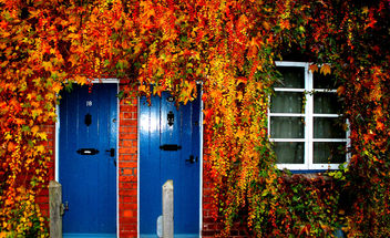 Hereford Doors #leshaines123 #Hereford - бесплатный image #323917