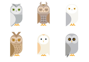 Free Cute Owl Vector - Free vector #327927