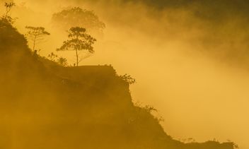 Morning mists - Kostenloses image #328097