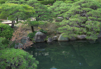 Japan (Kobe-Sorakuen Garden) Scrub pine trees - image gratuit #330217 