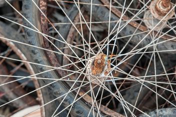 Old bicycle wheels - image #330377 gratis