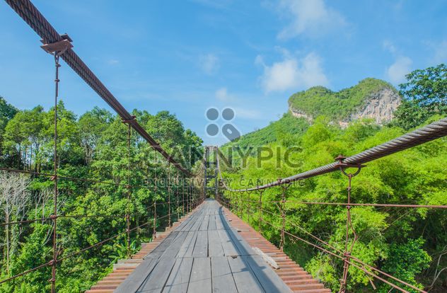 pedestrian bridge in forest - image #330997 gratis